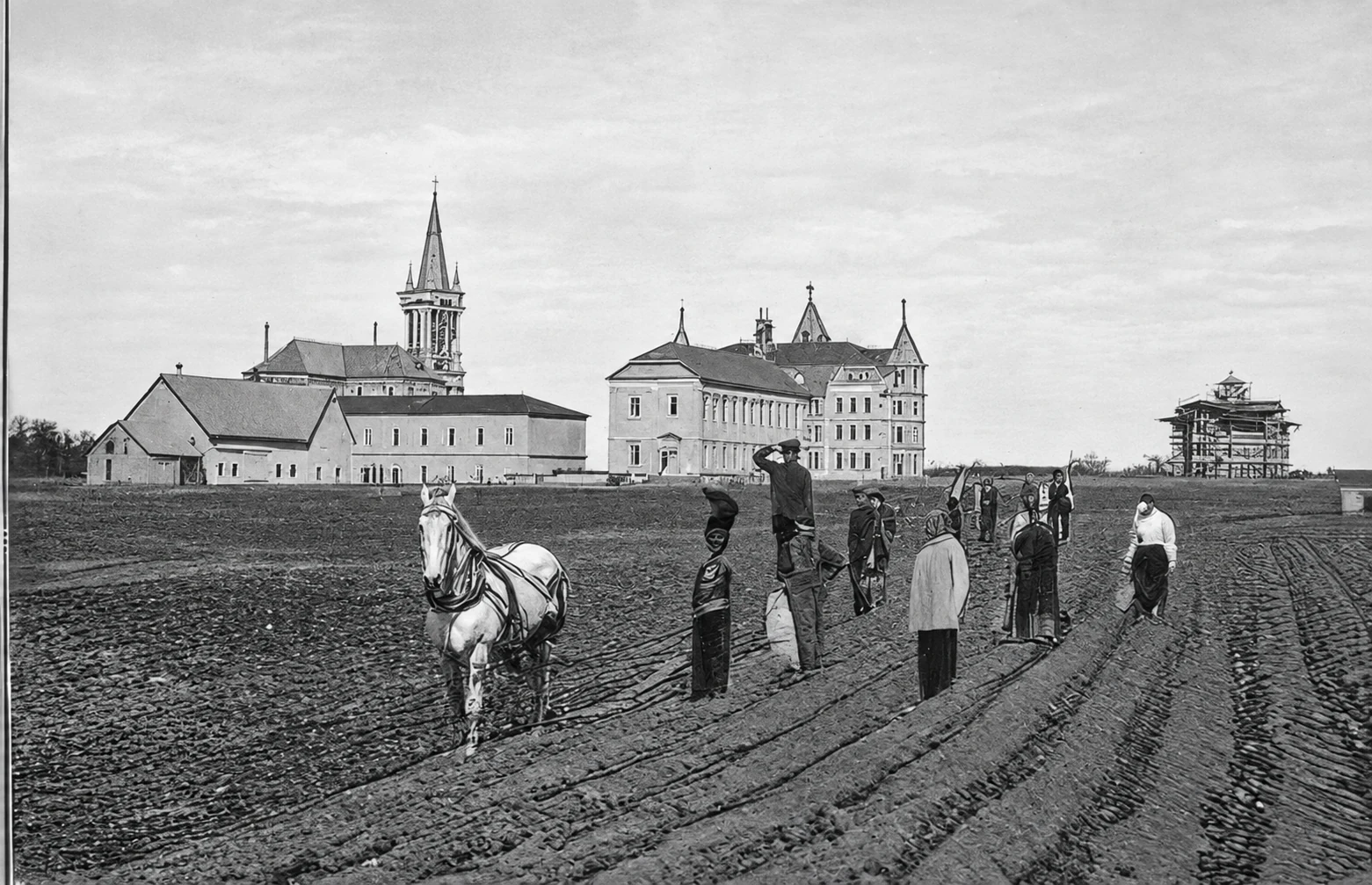 Colégio — exterior — campo de batatas